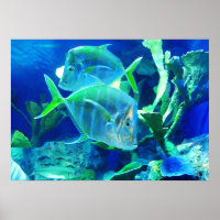 Tropischer Fisch in schöner Blues und Grüntönen