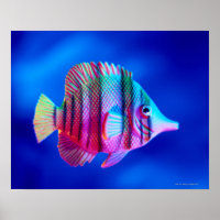 Tropischer Fisch