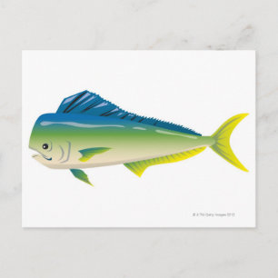 Tropischer Fisch Postkarte