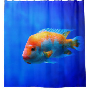 Tropischer Fisch Strikes Blaues Unterwasserporträt Duschvorhang
