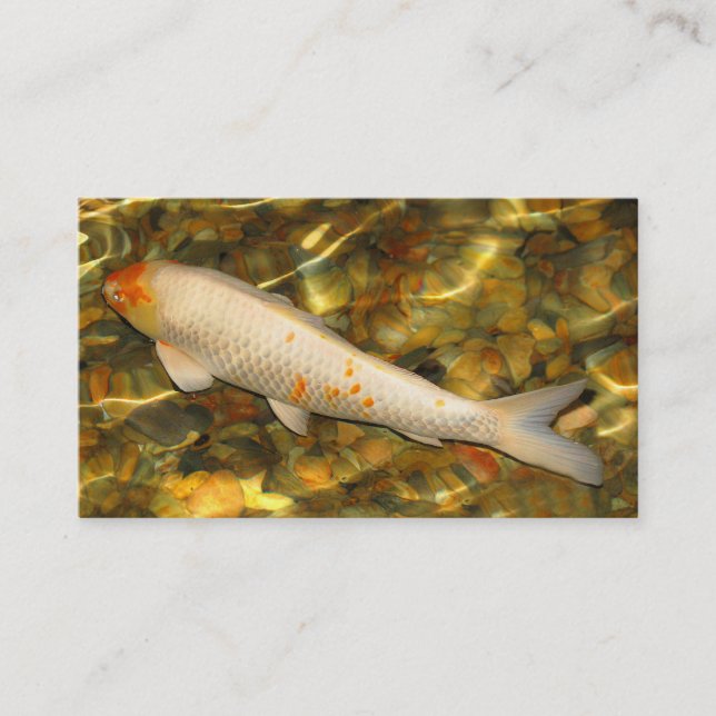Tropischer Fisch und Aquarium Visitenkarte (Vorderseite)