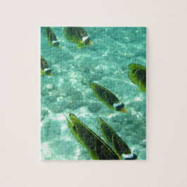 Tropischer Fisch unter Wasser