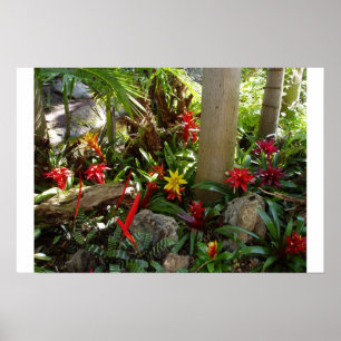 Tropischer Garten Poster