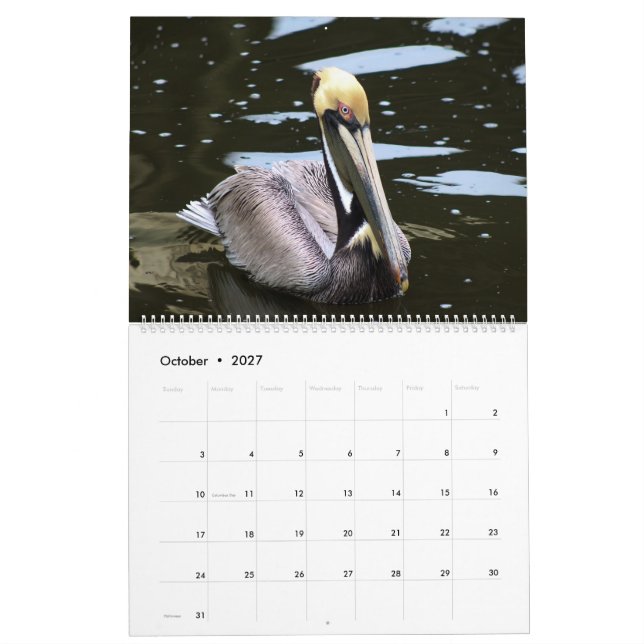 Tropischer Kalender 2025, Vögel im Paradies (Okt 2027)