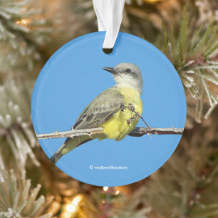 Tropischer Königstyrann auf Brombeerzweig Ornament
