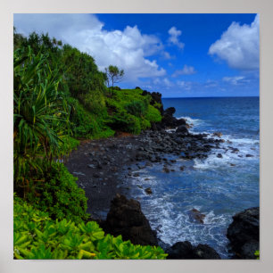 Tropischer Maui Hawaiian Island Beach Poster