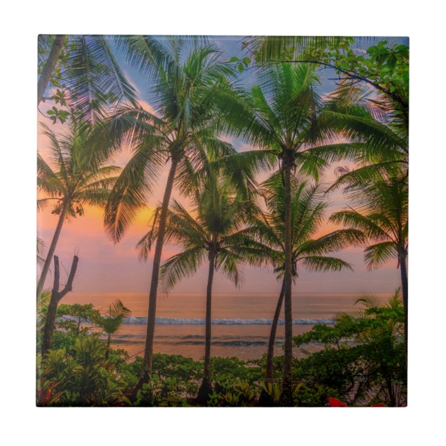 Tropischer Nationalpark des Strand-| Corcovado Fliese (Vorderseite)