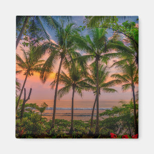 Tropischer Nationalpark des Strand-  Corcovado Magnet