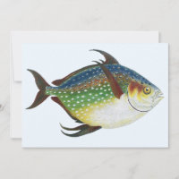Tropischer Ohnenfisch, Vintages Meerwassertier