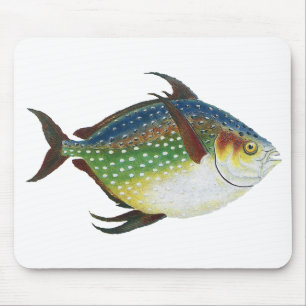 Tropischer Opah-Fisch, Vintage-Meeres-Aquarien-Tie Mousepad
