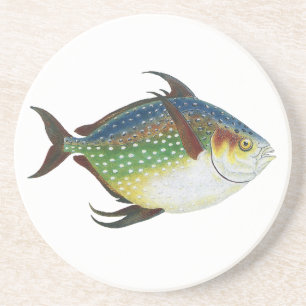Tropischer Opah-Fisch, Vintage-Meeresaquarien-Tier Getränkeuntersetzer