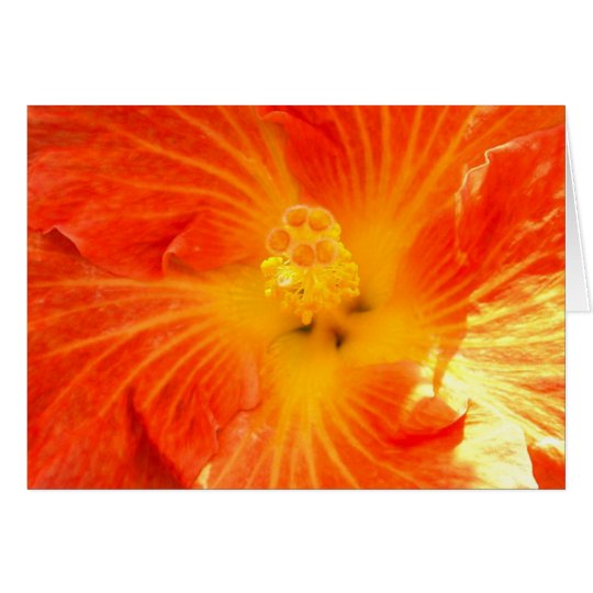 Tropischer orange Hibiskus Karte