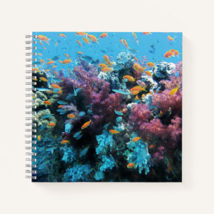 Tropischer Orangenfisch und rosa Koralle Notizbuch