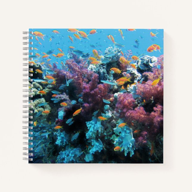 Tropischer Orangenfisch und rosa Koralle Notizbuch (Vorderseite)