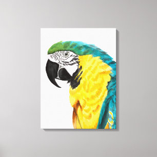 Tropischer Papageien-Vogel Leinwanddruck