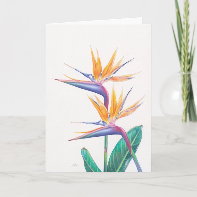 Tropischer Paradiesvogel Blumen-Gruß-Karte Karte (Vorderseite)