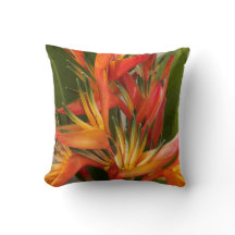 Tropischer Pillow-Bird des Paradieses