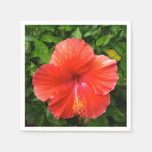 Tropischer Roter Hibiskus Bonita Springs Florida Serviette