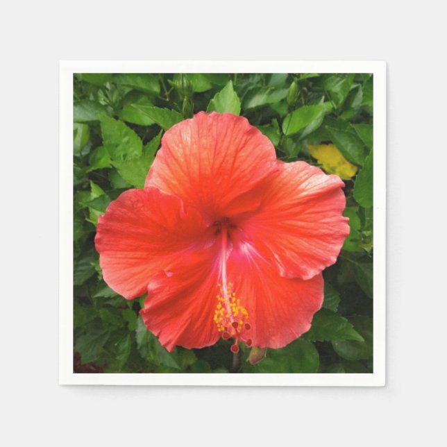 Tropischer Roter Hibiskus Bonita Springs Florida Serviette (Vorderseite)