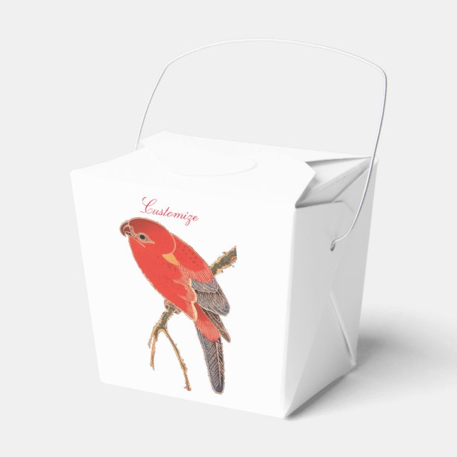 Tropischer Roter Papagei Geschenkschachtel (Vorderseite)