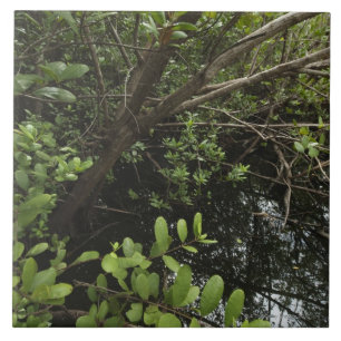 Tropischer Salzteich Fliese