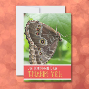 Tropischer Schmetterling auf dem Gebiet der Naturf Dankeskarte