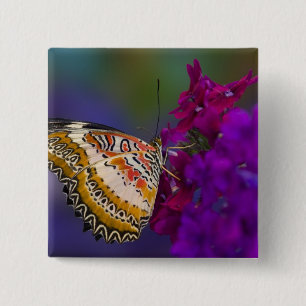 Tropischer Schmetterling auf violetten Blumen Button