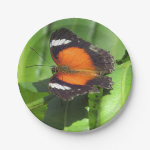 Tropischer Schmetterling Pappteller