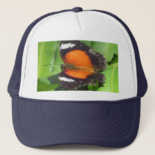 Tropischer Schmetterling Truckerkappe