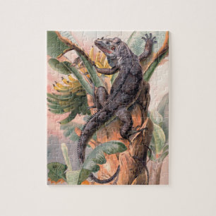 Tropischer Schwarzer Leguan, Vintage-wildes Reptil