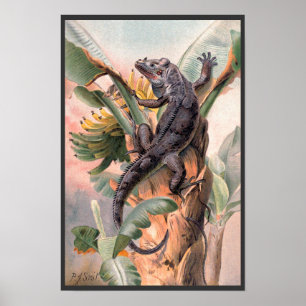 Tropischer Schwarzer Leguan, Vintage Wildes Reptil Poster