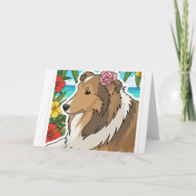 Tropischer Sheltie