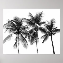 Tropischer Sommer mit schwarz-weißer Palme Poster