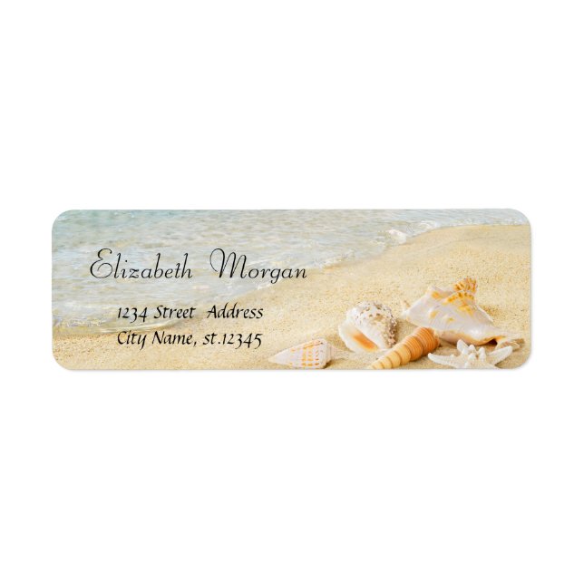 Tropischer Sommer Strand, Sand, Seashells (Vorne)