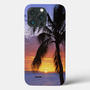 Tropischer Sonnenuntergang mit Palm Tree Case-Mate iPhone Hülle