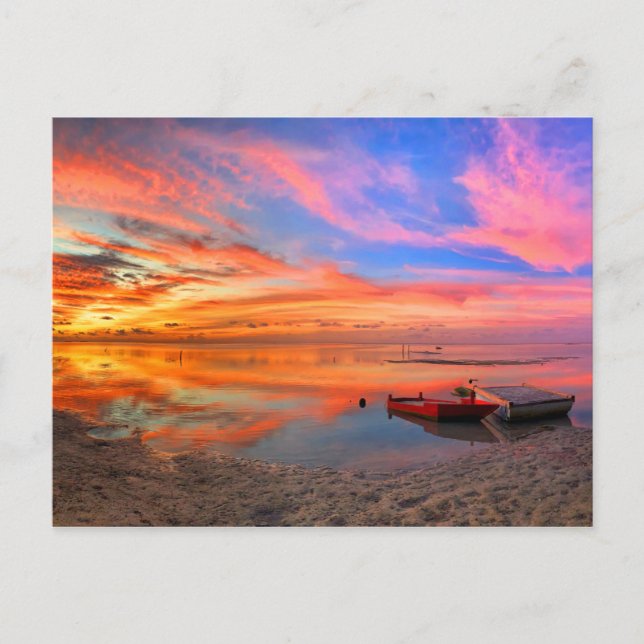 Tropischer Sonnenuntergang Postkarte (Vorderseite)
