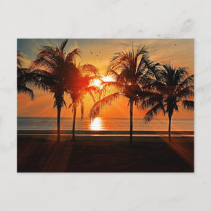 Tropischer Sonnenuntergang Postkarte