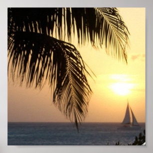 Tropischer Sonnenuntergang-Segel-Druck Poster