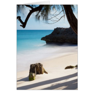 Tropischer Strand