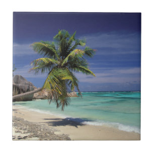 Tropischer Strand, Anse Sourse D'Argent, La Digue Fliese