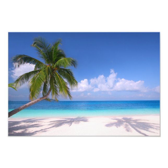 Tropischer Strand-Fotoabzug Fotodruck (Vorne)