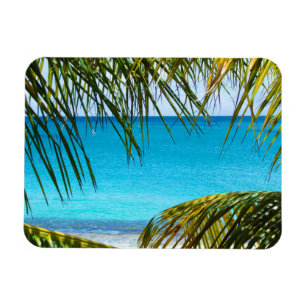 Tropischer Strand gerahmt mit Palmfronten Magnet