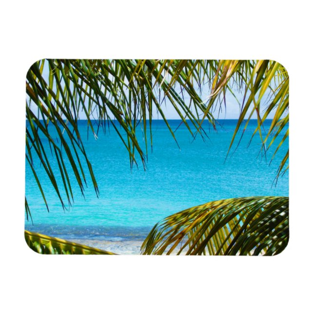 Tropischer Strand gerahmt mit Palmfronten Magnet (Horizontal)