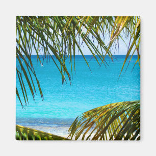 Tropischer Strand gerahmt mit Palmfronten Magnet