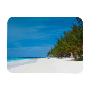 Tropischer Strand in Barbados Magnet