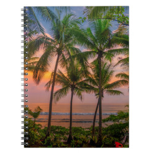 Tropischer Strand   Nationalpark Corcovado Notizblock