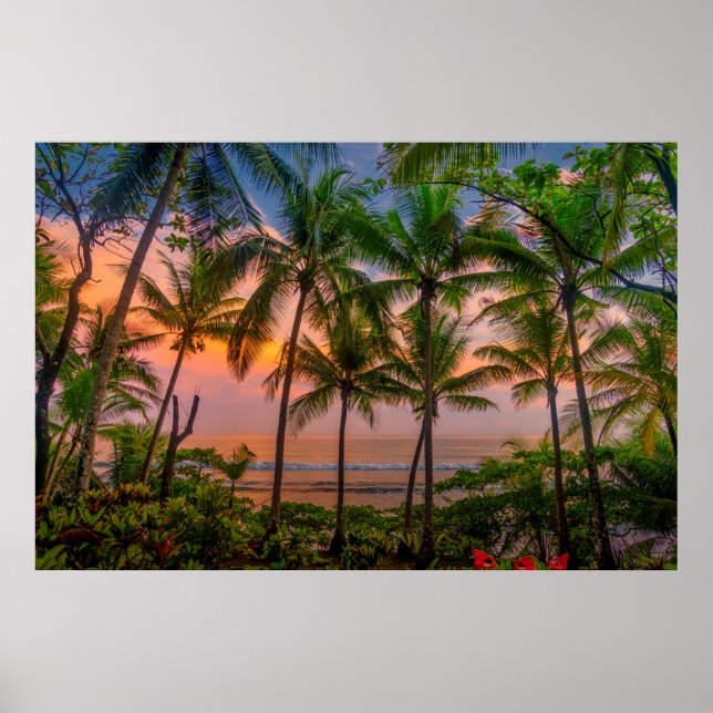 Tropischer Strand | Nationalpark Corcovado Poster (Vorne)