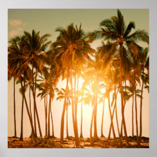 Tropischer Strand Poster