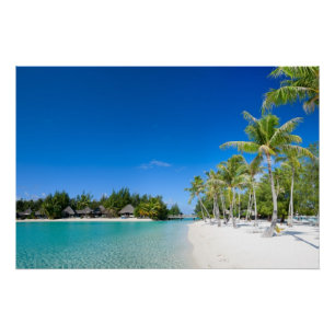Tropischer Strand Poster