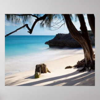 Tropischer Strand Poster